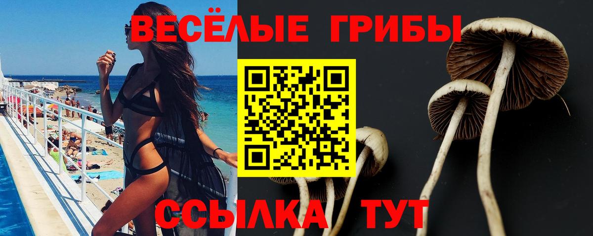 Галлюциногенные грибы Magic Shrooms Карталы