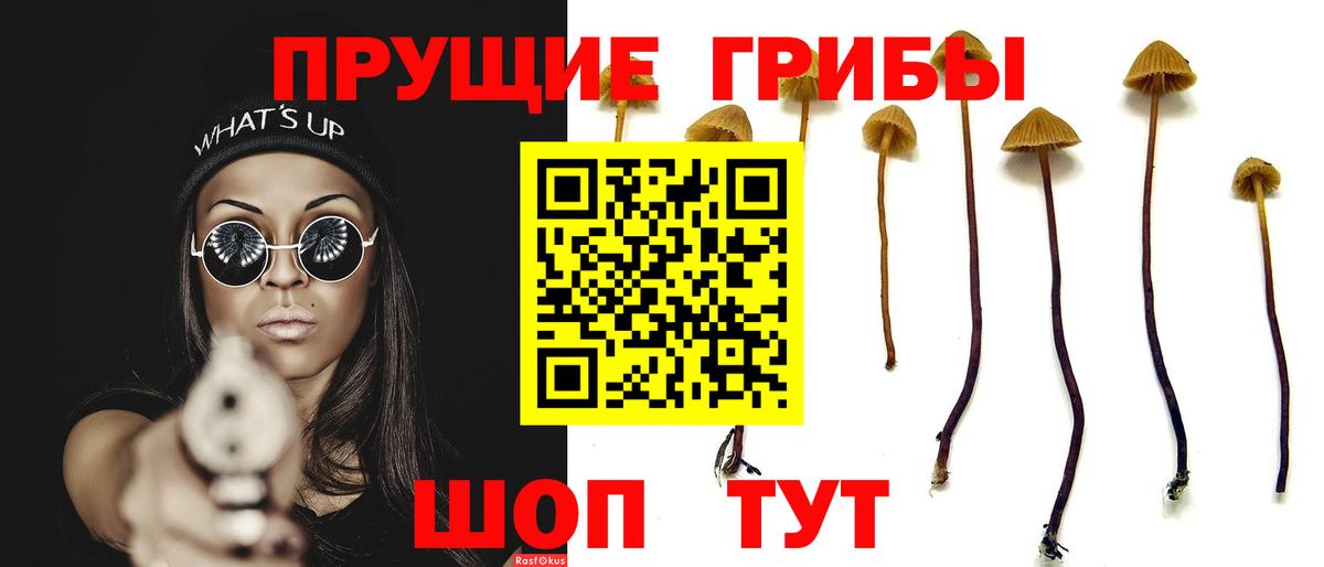Псилоцибиновые грибы Psilocybine cubensis  Псилоцибиновые грибы Cubensis  Вход с VPN  Карталы 